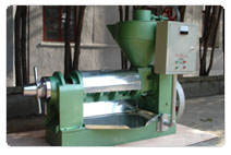 oil press